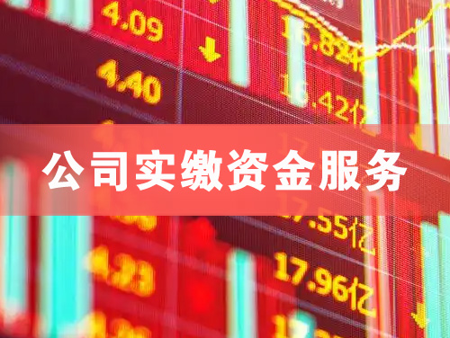 呼伦贝尔公司实缴资金服务