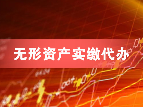 呼伦贝尔无形资产实缴资本代办