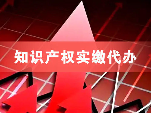 呼伦贝尔知识产权实缴资本代办